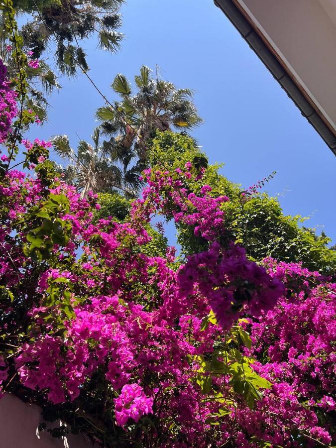Palma Rosa Hotel Çamyuva エクステリア 写真