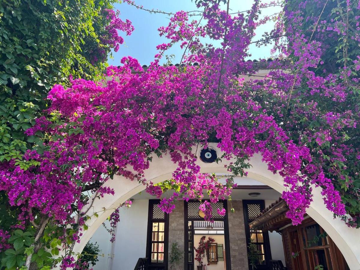 Palma Rosa Hotel Çamyuva エクステリア 写真